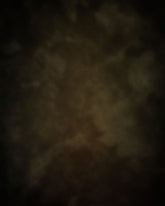 Lofaris Old Master Walnut Photography Backdrops For Pictures